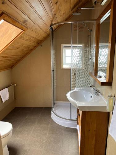 a bathroom with a shower and a sink at Casa Ayacara in Frutillar