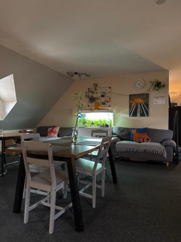 Hostel John Galt