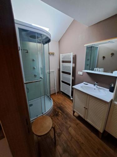 a bathroom with a glass shower and a sink at À la Grange d'en Haut in Bras-Haut