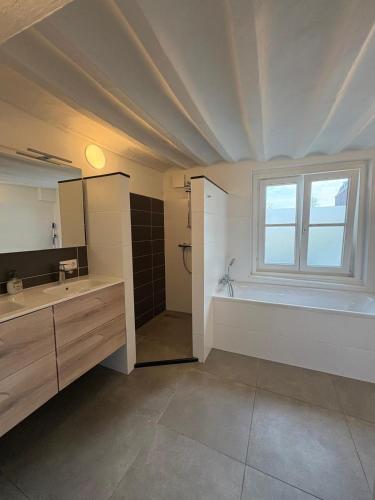 a bathroom with a sink and a tub and a window at B&B De Hofnar Maastricht in Maastricht