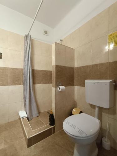 a bathroom with a toilet and a shower at Casa Rezidentiala Pasteur in Cluj-Napoca