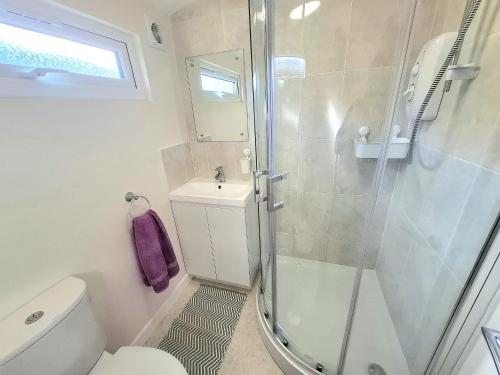 a bathroom with a shower and a toilet and a sink at Cosy Corner Cabin in Saint Merryn