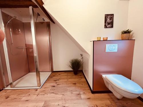 a bathroom with a shower and a toilet at Chalet Lilienstein, Dachgeschoß-Studio neu 2026 in Königstein an der Elbe