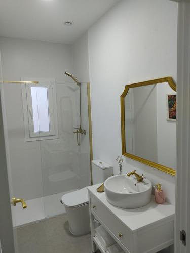 a bathroom with a sink and a toilet and a mirror at La corrala de la calle Sol in Jerez de la Frontera