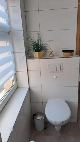a bathroom with a toilet and a plant on a shelf at Ferìenwohnung Mende 1 in Lübbenau