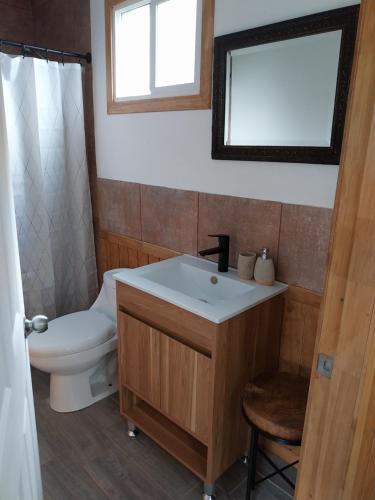 a bathroom with a sink and a toilet at Cabaña Lefuco, Curacautin in Manzanar
