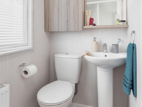 a white bathroom with a toilet and a sink at Riverside Essential Clover Caravan Pet 1 in Wooler