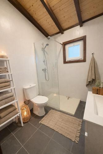 a bathroom with a shower and a toilet and a sink at Casa Ana Almancil in Almancil