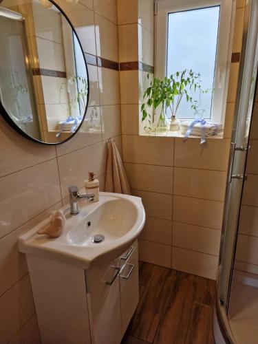 a bathroom with a sink and a mirror and a shower at Mazurski Apartament in Snopki