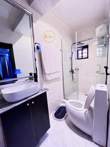 a bathroom with a sink and a toilet and a shower at Shelve Apartments in Aja
