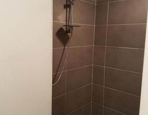 a bathroom with a shower with brown tile at Hotel Morez in Morez