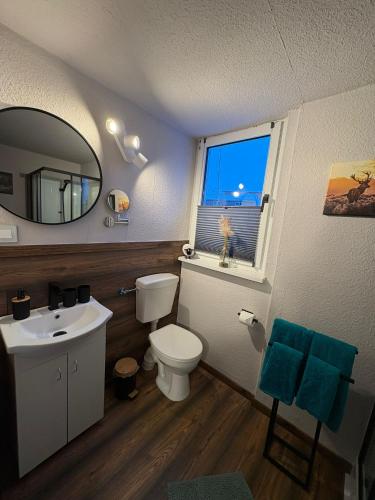 a bathroom with a toilet and a sink and a mirror at Appartement Königshütte in Königshütte
