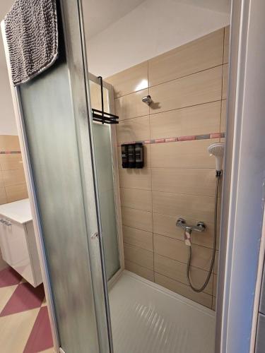 a shower with a glass door in a bathroom at Apartment Čebelica in Lesce