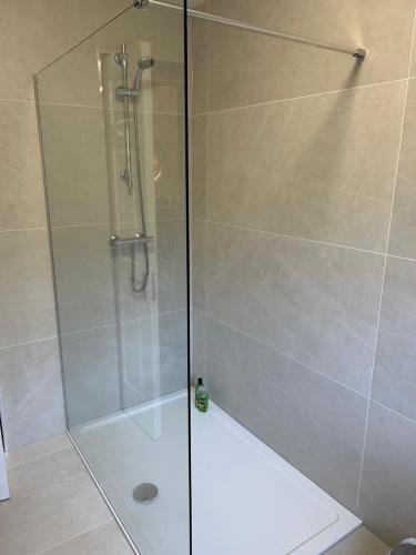 a shower with a glass door in a bathroom at Belvedere Lodge in Cork