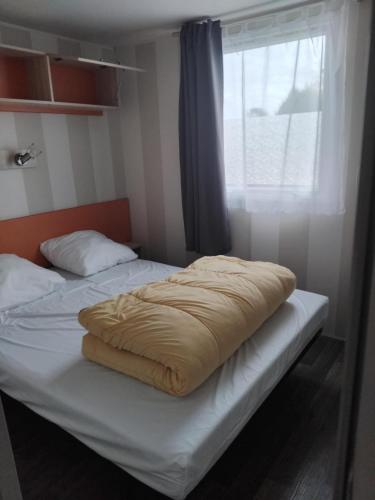 a bed with a blanket on it next to a window at Escapade aux Peupliers in Vironchaux