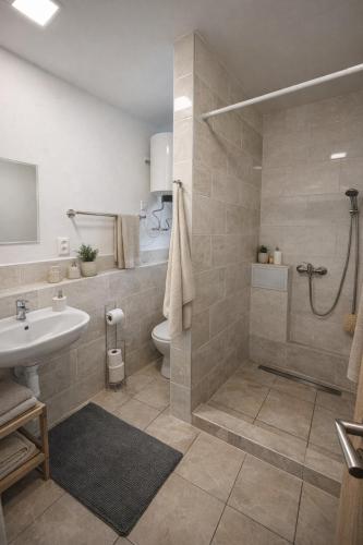 a bathroom with a shower and a toilet and a sink at Apartmány Škodova Přerov in Přerov