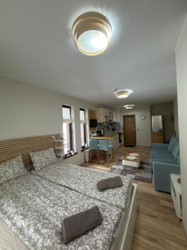 Green Line Studio Appartment Pamporovo