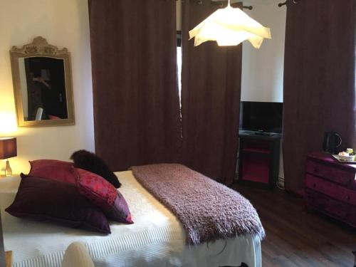 a bedroom with a bed with pillows on it at Studio Girofle dans Maison d'hôtes L'écrin des Saveurs in Schwenheim