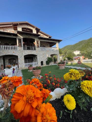 Villa M H Vlore