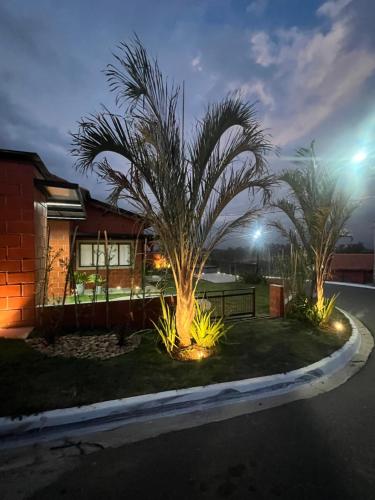 a palm tree in front of a house at night at Refúgio no Campo in Mairinque