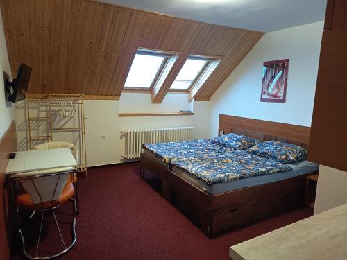 a bedroom with a bed and a desk in it at Ubytování u Macochy in Vilémovice