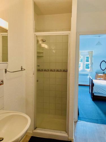 a bathroom with a shower and a sink at Reves au Soleil in Thiviers