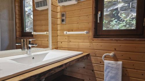 a bathroom with a sink and a mirror at Chalet "Quelle Vue" in Coubisou