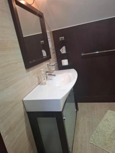 a bathroom with a white sink and a mirror at Dom Retro Pivnica in Jastrzębie Zdrój