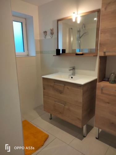 a bathroom with a sink and a mirror at Bordeneuve in Le Passage