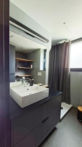 a bathroom with a sink and a large mirror at SMART LODGES Bad Rippoldsau in Bad Rippoldsau