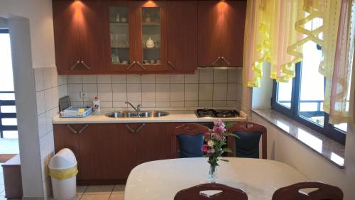 Kuchyň nebo kuchyňský kout v ubytování Apartments Jurlina