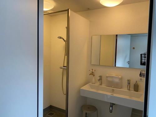 a bathroom with a sink and a shower and a mirror at Pipowagen op Camperplaats Vechtdal in Nieuwleusen