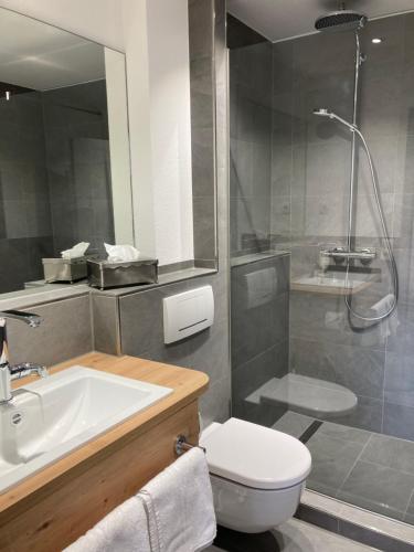 a bathroom with a sink and a toilet and a shower at Hotel Garni Schmieder’s Ochsen in Seelbach