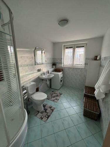 a bathroom with a toilet and a sink at Domek nad Sołą in Cisiec