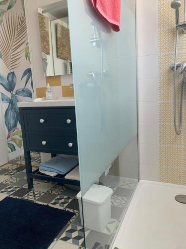 Appartement Terrasse في رويان: حمام مزود بدُش ومرحاض ومغسلة
