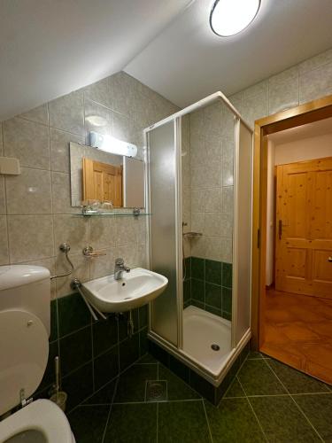 a bathroom with a shower and a sink and a toilet at Kmetija Matk in Solčava