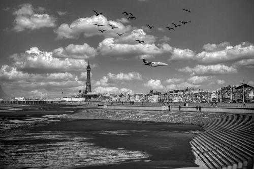 a flock of birds flying over a beach with the eiffel tower at Lanayr Hotel Blackpool Limited in Blackpool