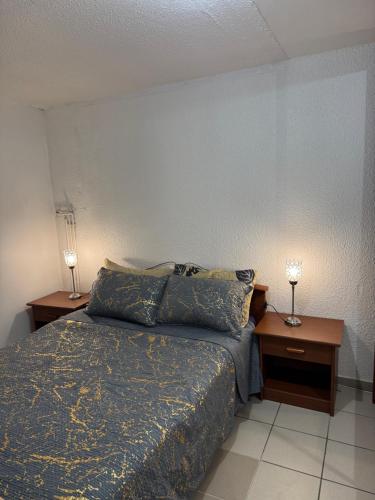 a bedroom with a bed and two night stands at Apparemment 2 pièces in Vaulx-en-Velin
