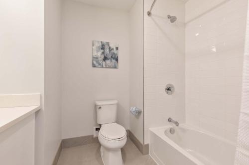 a white bathroom with a toilet and a bath tub at Private Apt Downtown in Quincy