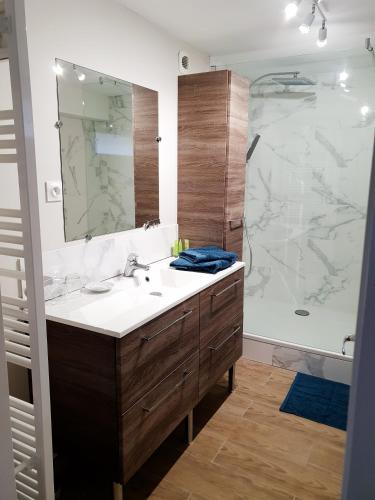 a bathroom with a sink and a shower at le pied des monts in Sainte-Consorce