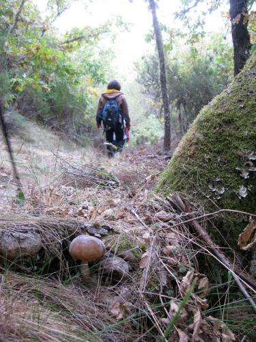 a man with a backpack walking down a trail in the woods at Hostería Camino in Luyego de Somoza