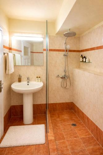 a bathroom with a sink and a shower at Nafplio Nook 2 in Nafplio