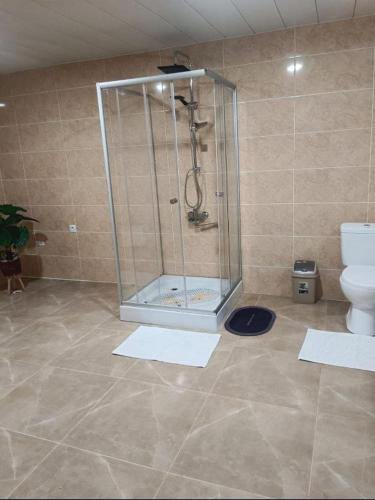 a bathroom with a shower and a toilet at Ortachala Valley Retreat in Sighnaghi
