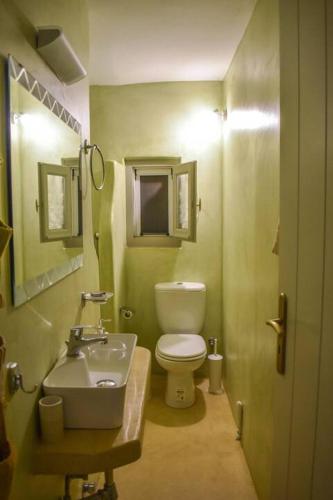 a small bathroom with a toilet and a sink at Terpsithea in Triandáros