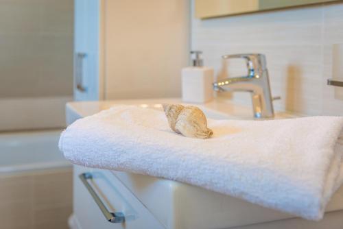a towel sitting on top of a bathroom sink at Das Sonnenhaus in Lindaunis