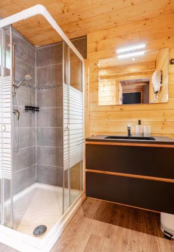 a bathroom with a shower and a sink at Gîtes Le Cerf de Belledonne in Sainte-Agnès
