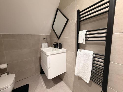 a bathroom with a toilet and a sink and a mirror at Premium Apartment with Dover Castle Views, Central Dover in Dover