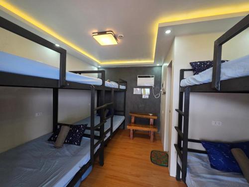 a dorm room with four bunk beds in it at Aloha Aina Dive Resort in Mabini