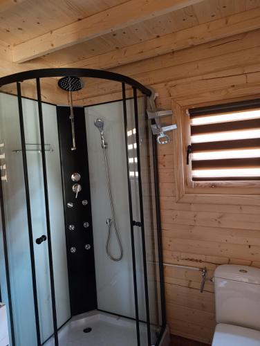 a bathroom with a shower and a toilet in a room at Perła Brenno in Brenno