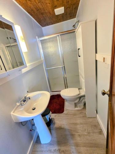 a bathroom with a sink and a toilet at Riverside Vista in Pulaski